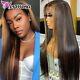Highlight Lace Frontal Human Hair Wig Straight Pre Plucked Remy Lace Closure Wig
