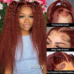 Reddish Brown Kinky Curly Lace Front Remy Human Hair Wig Glueless HD Transparent
