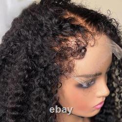 Water Wave Curly Baby Hair Wig Edges Wig 13x6 HD Lace Frontal Human Hair Wig
